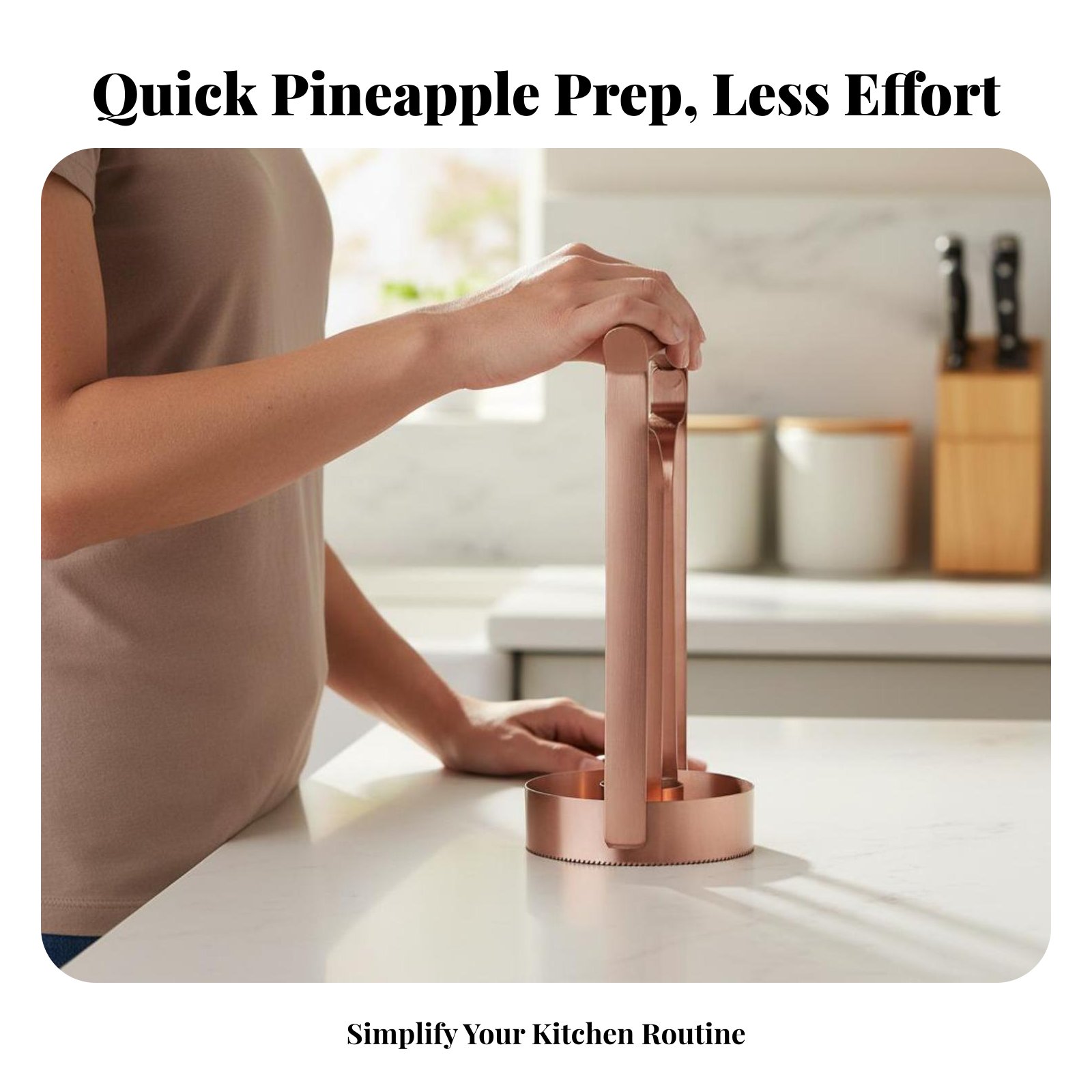 Stainless Steel Pineapple Cutt - Kitchen Gadgets Tools ulasan dan harga