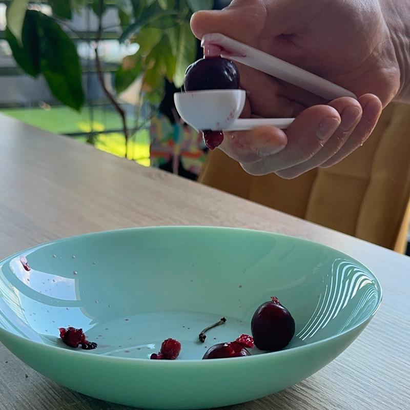 3D Printed Cherry Pitter Easy  - Kitchen Gadgets To 3D Print ulasan dan harga