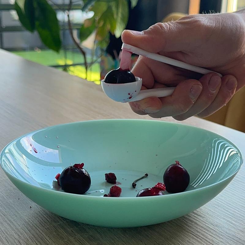 3D Printed Cherry Pitter, Easy - Kitchen Gadgets To 3D Print ulasan dan harga
