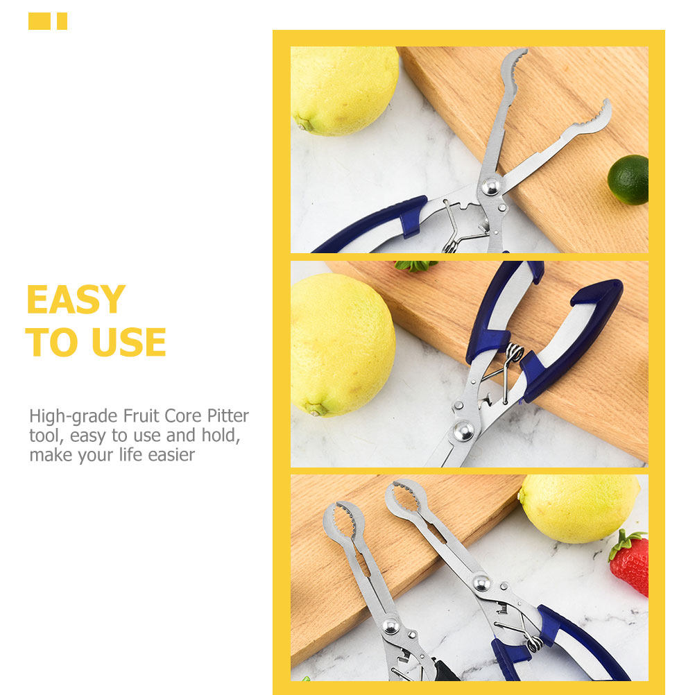 Stainless Steel Hawthorn Pitte - Kitchen Gadgets Tools ulasan dan harga