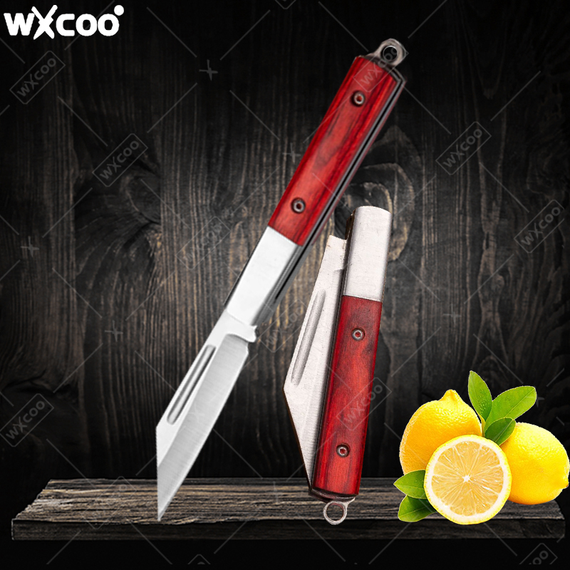Stainless Steel Pocket Knife R - Kitchen Gadgets Sale ulasan dan harga
