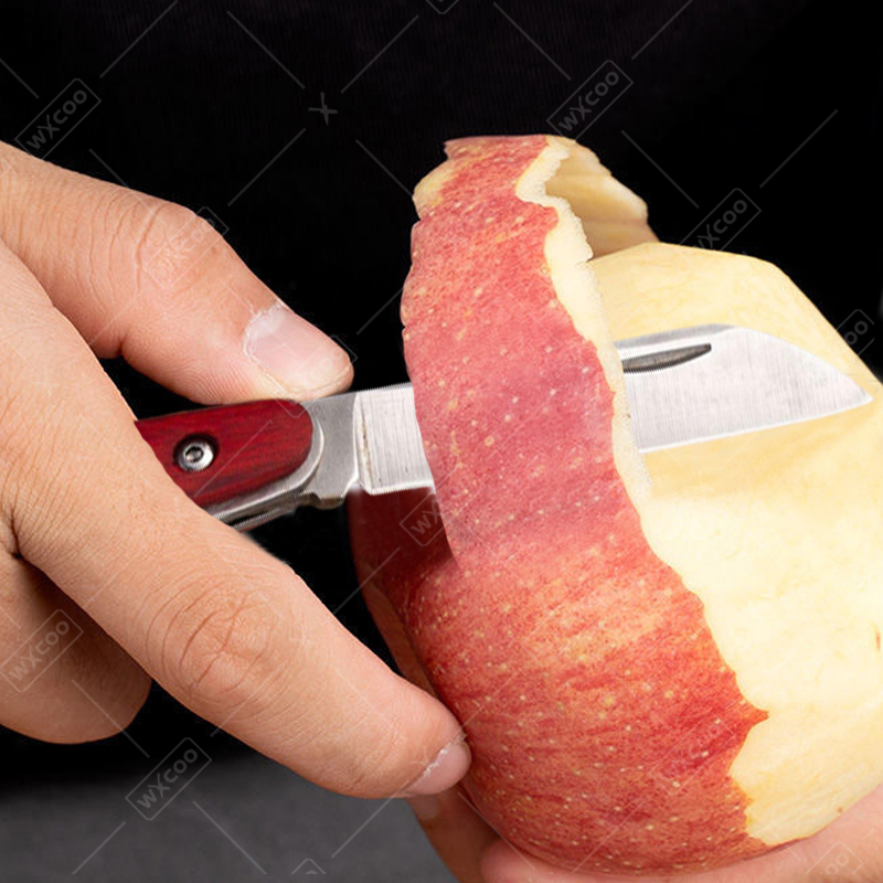 Stainless Steel Pocket Knife R - Kitchen Gadgets Sale ulasan dan harga