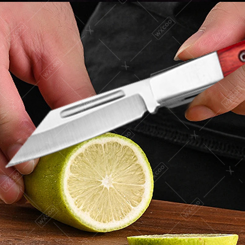 Stainless Steel Pocket Knife R - Kitchen Gadgets Sale ulasan dan harga